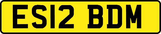 ES12BDM