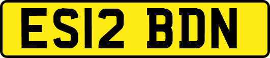 ES12BDN