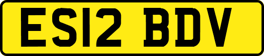 ES12BDV