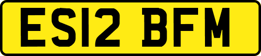 ES12BFM