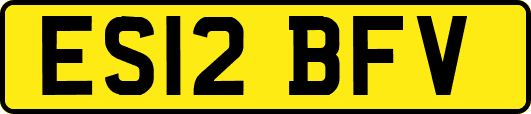 ES12BFV
