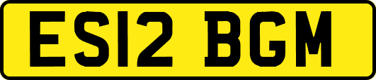 ES12BGM