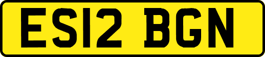 ES12BGN