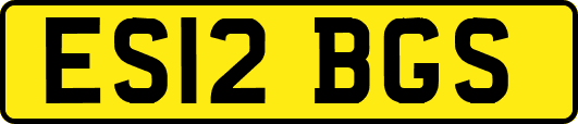 ES12BGS