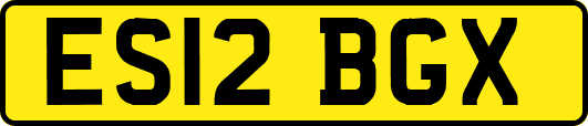 ES12BGX
