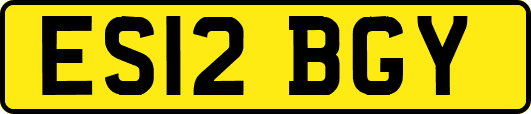 ES12BGY
