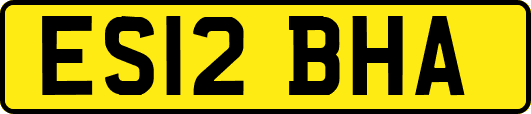 ES12BHA