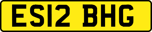 ES12BHG
