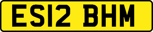 ES12BHM