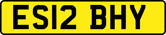 ES12BHY