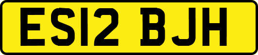 ES12BJH