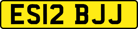 ES12BJJ