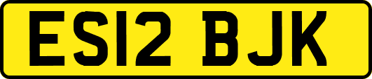 ES12BJK