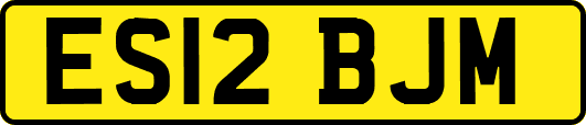 ES12BJM