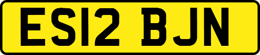 ES12BJN