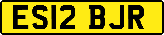 ES12BJR
