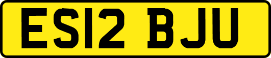 ES12BJU