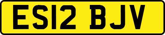 ES12BJV