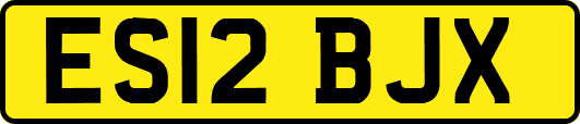 ES12BJX