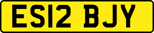 ES12BJY