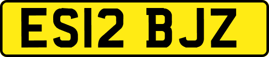 ES12BJZ