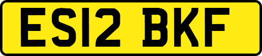 ES12BKF