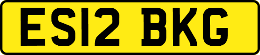 ES12BKG