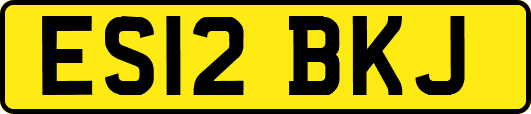 ES12BKJ