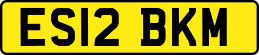 ES12BKM