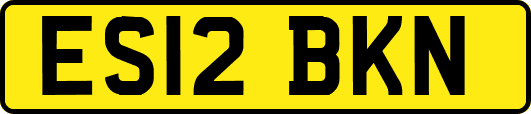ES12BKN