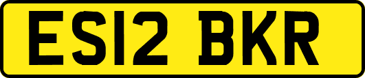ES12BKR