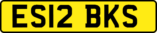 ES12BKS
