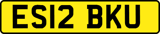 ES12BKU