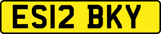 ES12BKY