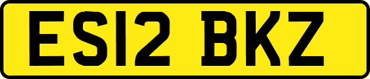 ES12BKZ