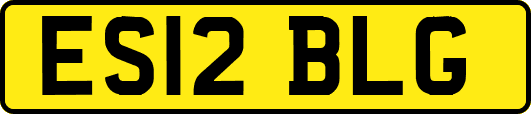 ES12BLG