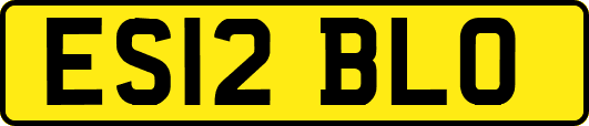 ES12BLO