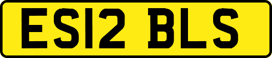 ES12BLS