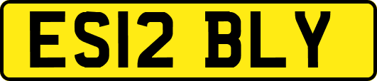 ES12BLY