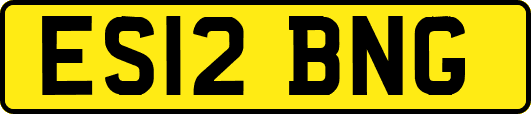 ES12BNG
