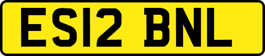 ES12BNL