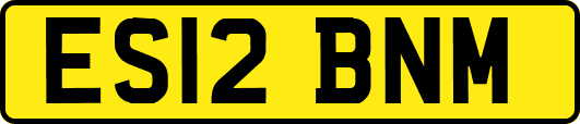 ES12BNM