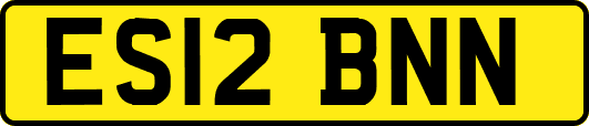 ES12BNN