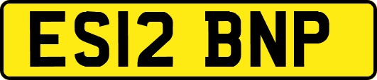 ES12BNP