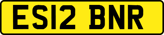 ES12BNR