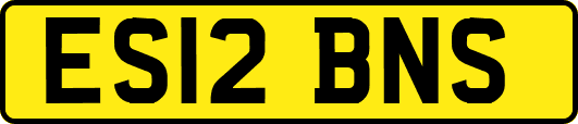 ES12BNS