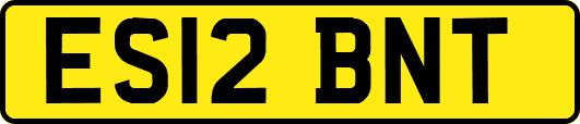 ES12BNT