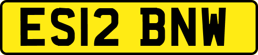 ES12BNW