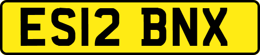 ES12BNX