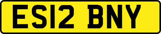 ES12BNY